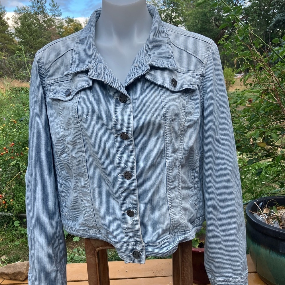 Earl Jeans railroad Striped Light Blue Denim Jacket XL